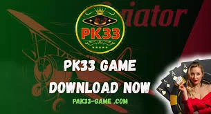 p333-game